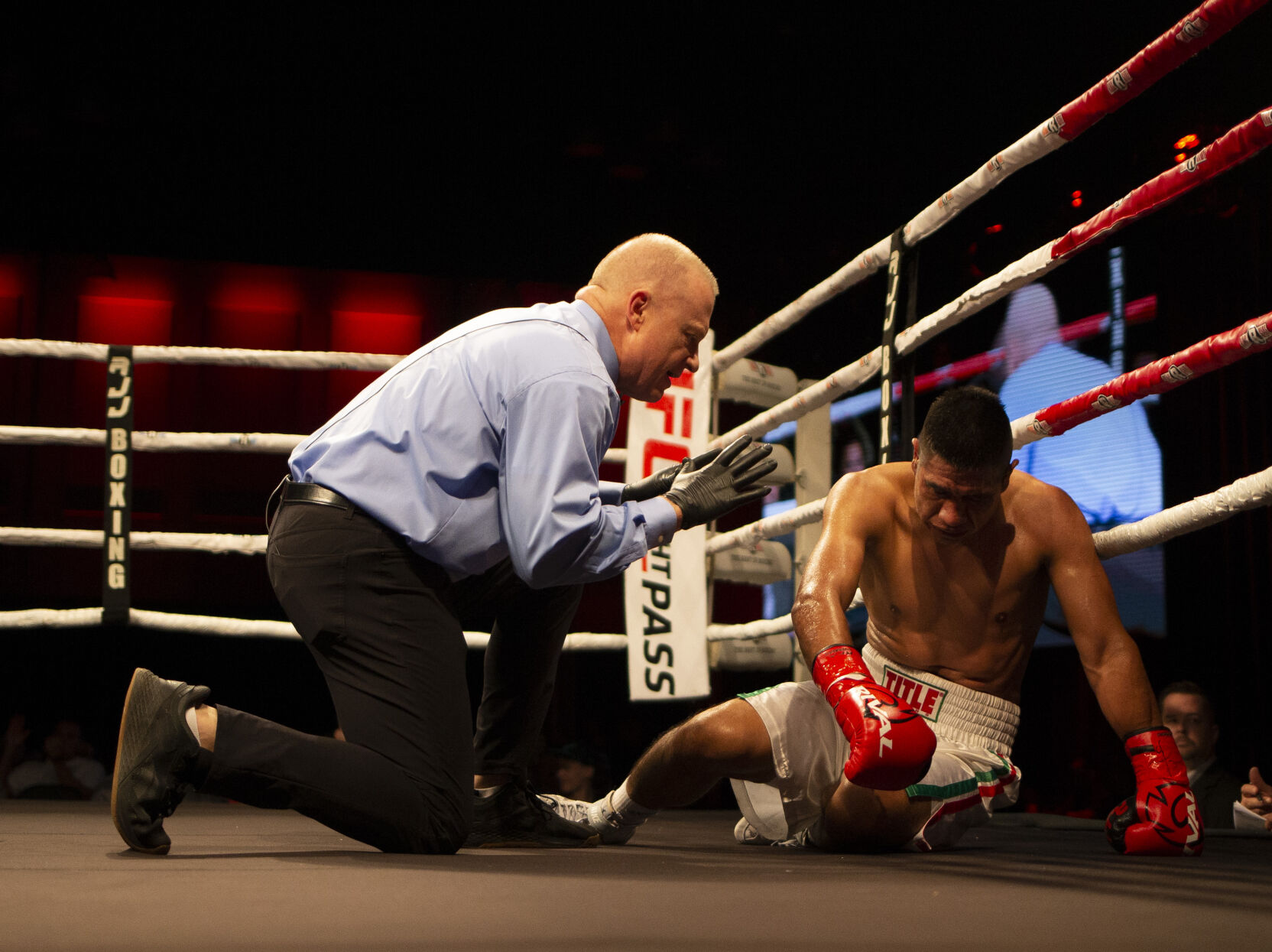Roy Jones Championship Boxing